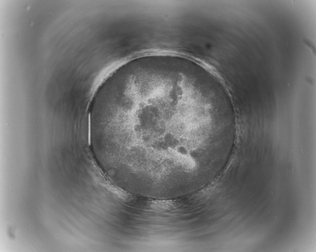 X0000101481223200808041121