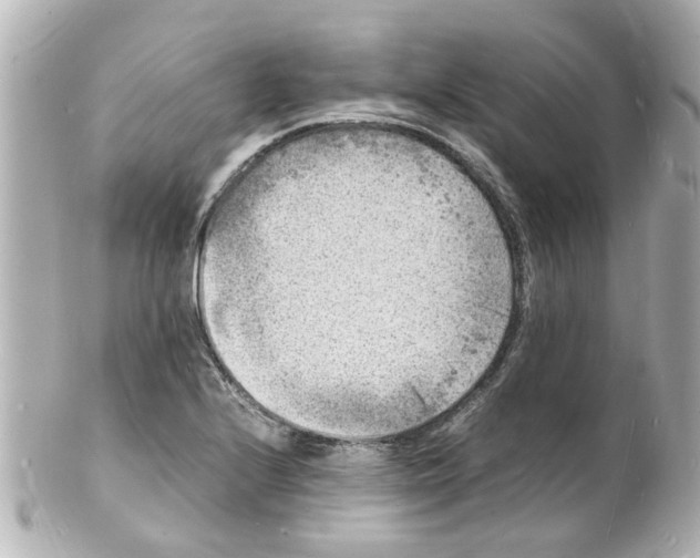 X0000101481224200808041121