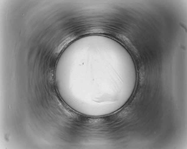 X0000101481225200808041121