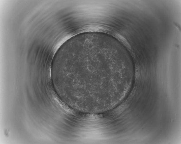 X0000101481226200808041121