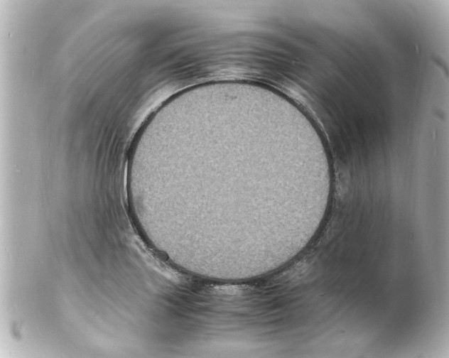 X0000101481227200808041121