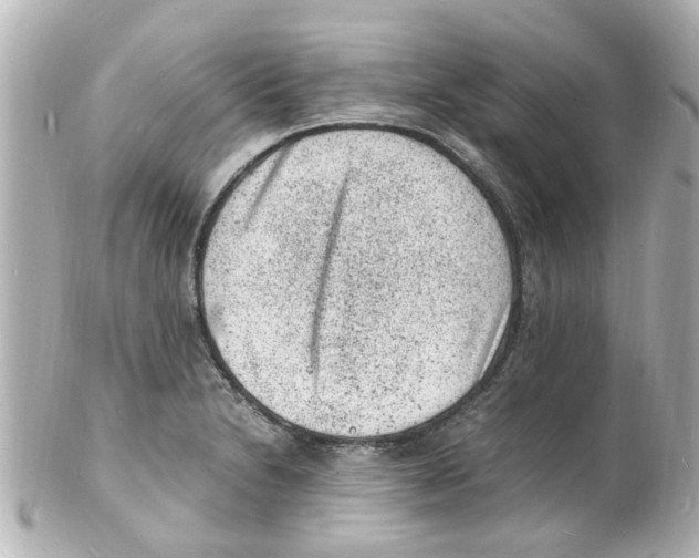 X0000101481230200808041121