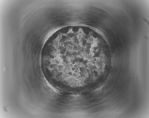 X0000101481231200808041121