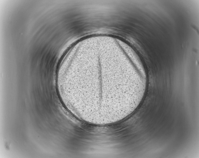 X0000101481232200808041121