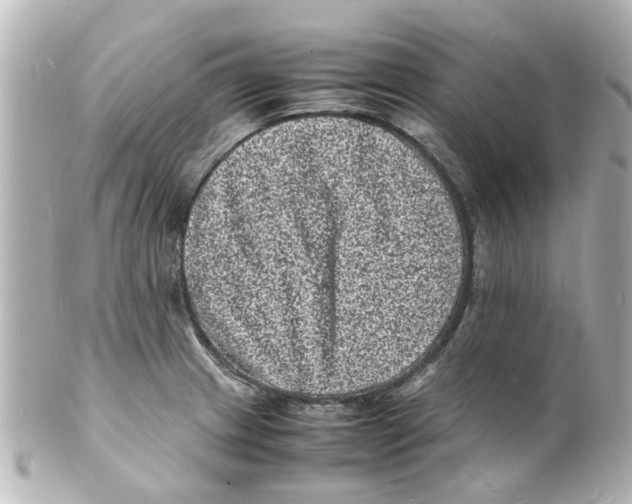 X0000101481233200808041121