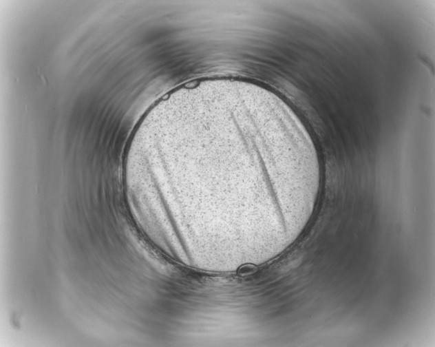 X0000101481234200808041121