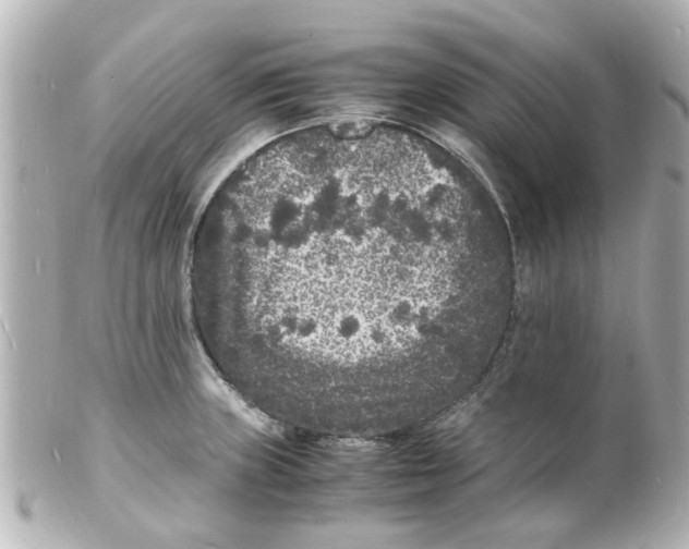 X0000101481235200808041121