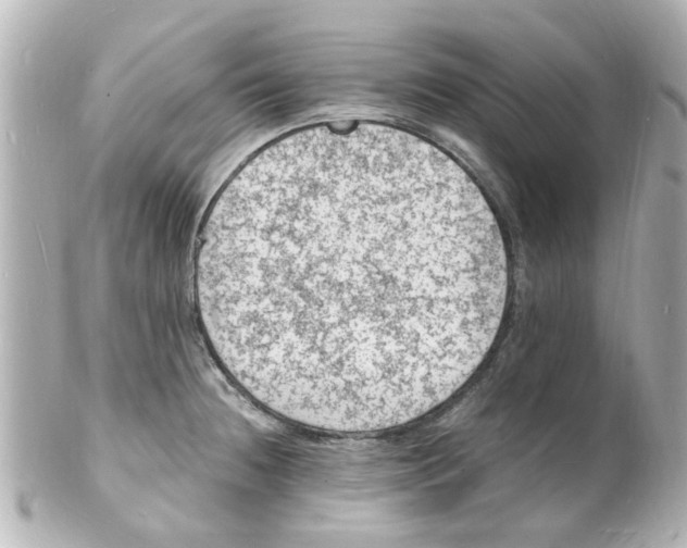 X0000101481236200808041121