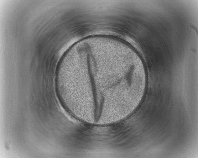 X0000101481237200808041121