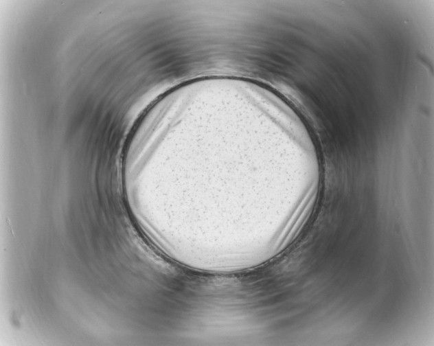 X0000101481238200808041121