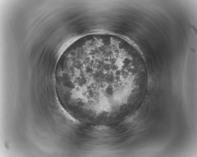 X0000101481239200808041121