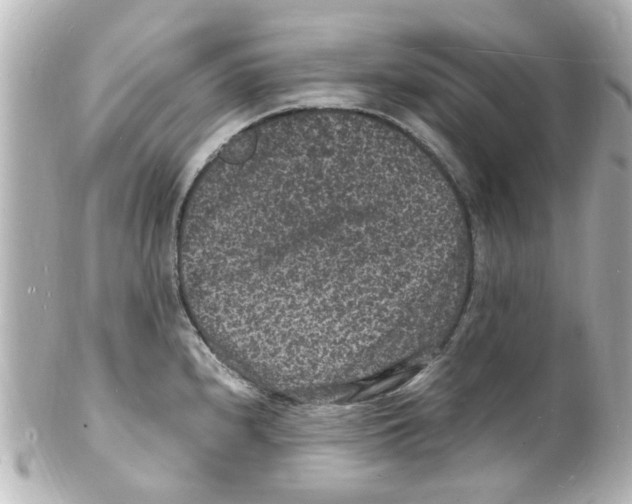 X0000101481240200808041121