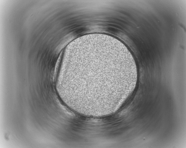 X0000101481241200808041121