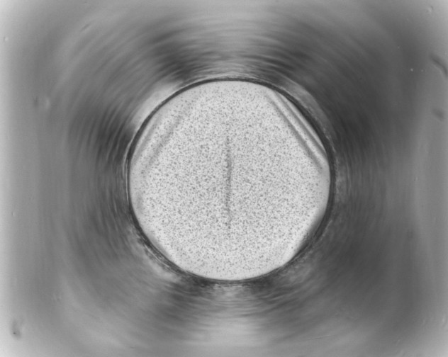 X0000101481242200808041121