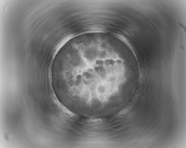 X0000101481243200808041121