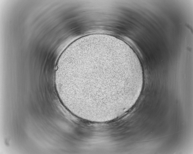 X0000101481244200808041121