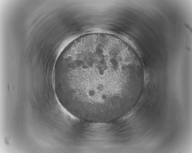 X0000101481247200808041121