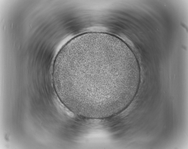 X0000101481248200808041121