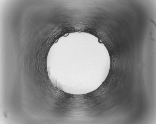 X0000101481249200808041120