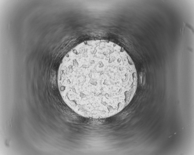 X0000101481251200808041120