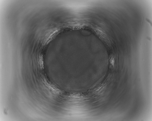 X0000101481252200808041120