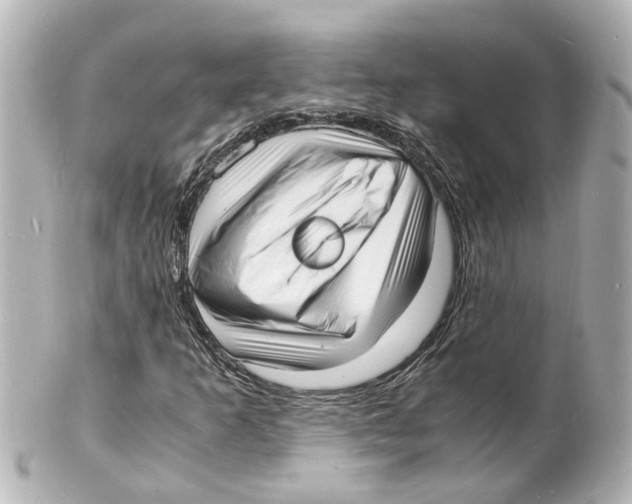 X0000101481253200808041120