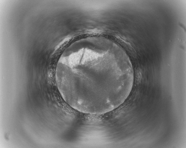 X0000101481254200808041120