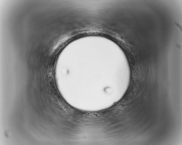 X0000101481255200808041120