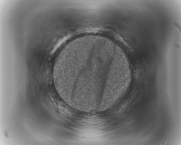 X0000101481256200808041120