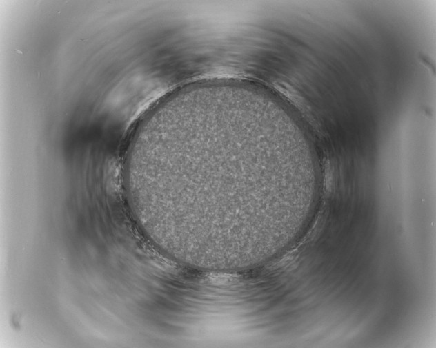 X0000101481258200808041120