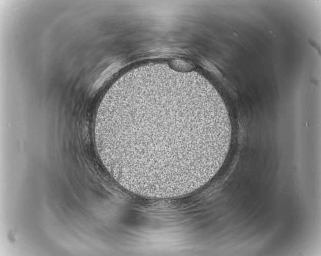 X0000101481259200808041120