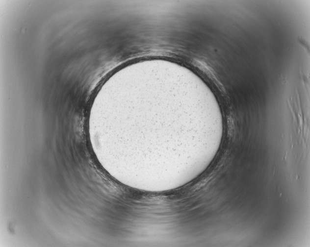 X0000101481260200808041120