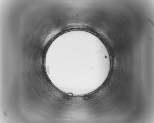 X0000101481261200808041120