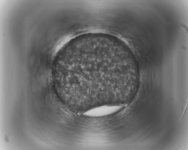 X0000101481263200808041120