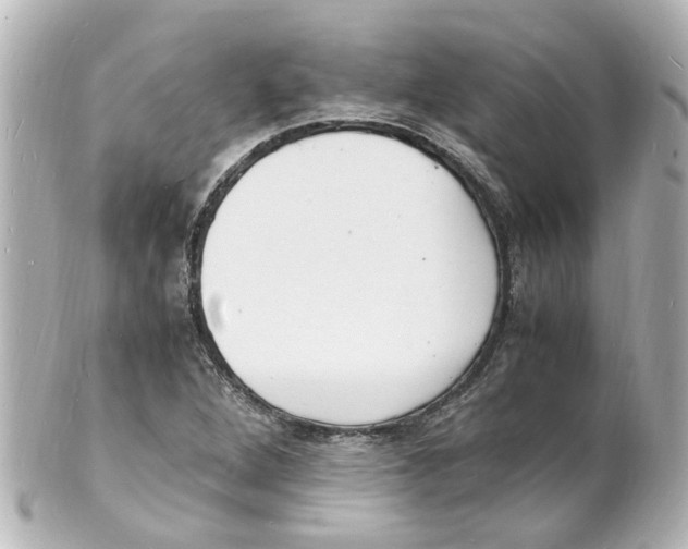 X0000101481264200808041120