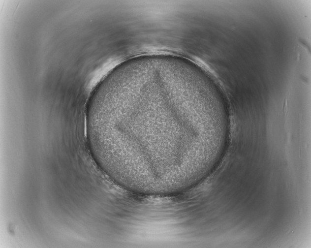 X0000101481269200808041120