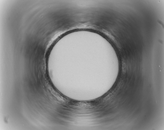 X0000101481270200808041120