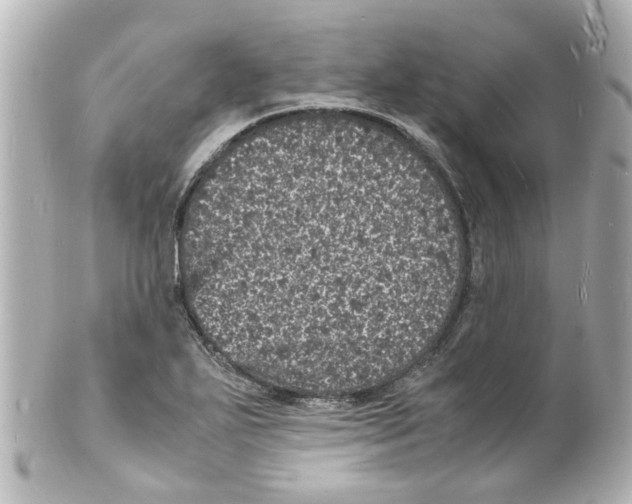 X0000101481271200808041120