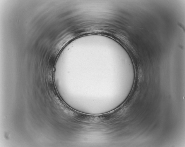 X0000101481273200808041120