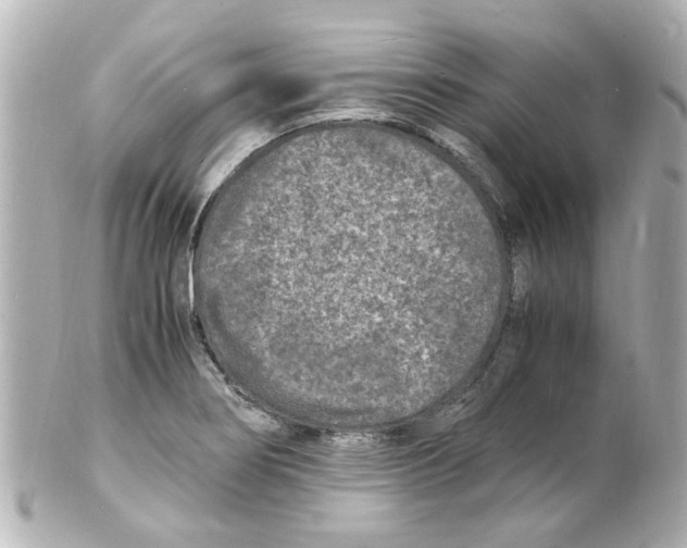 X0000101481274200808041120