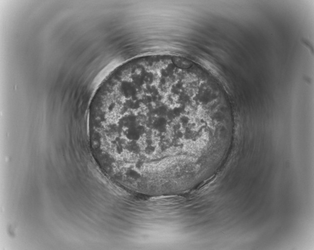 X0000101481275200808041120