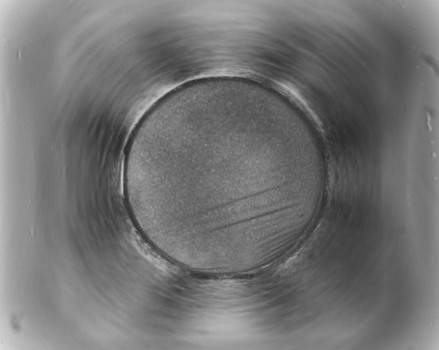 X0000101481276200808041120