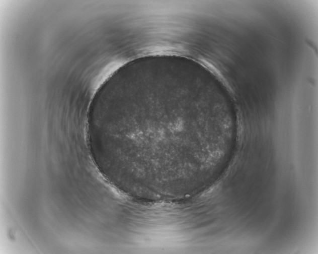 X0000101481277200808041120