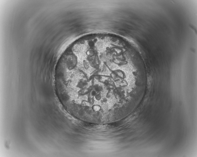 X0000101481279200808041120