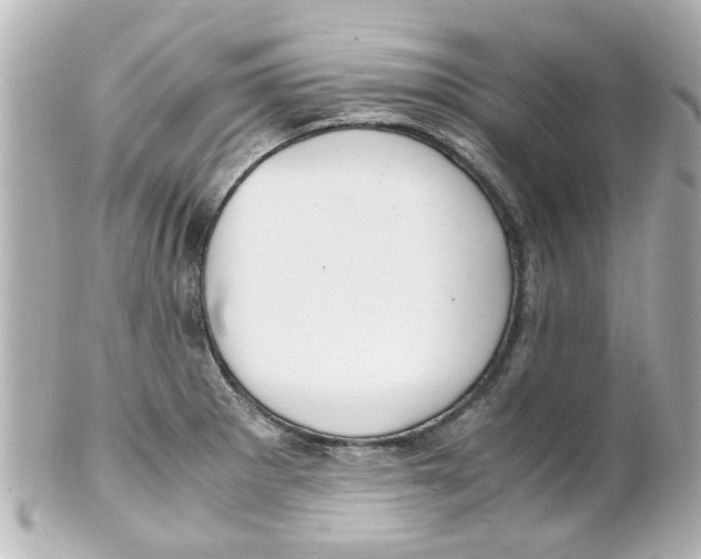 X0000101481281200808041120