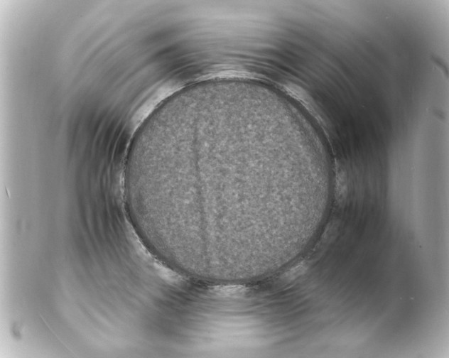 X0000101481282200808041120