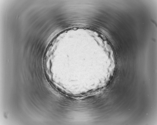 X0000101481283200808041120