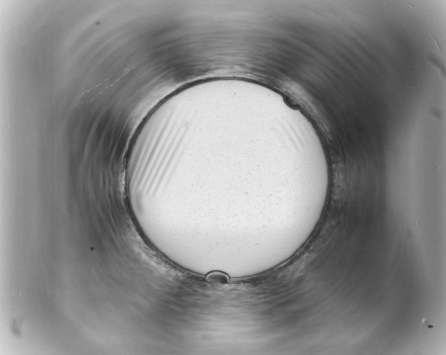 X0000101481284200808041120