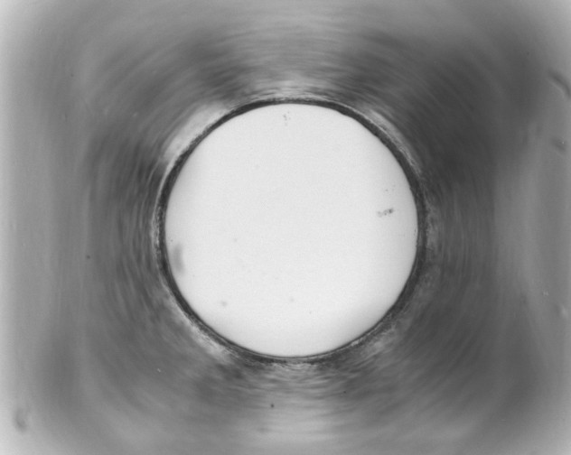 X0000101481285200808041120