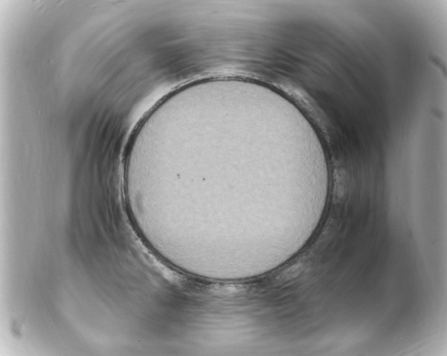 X0000101481286200808041120